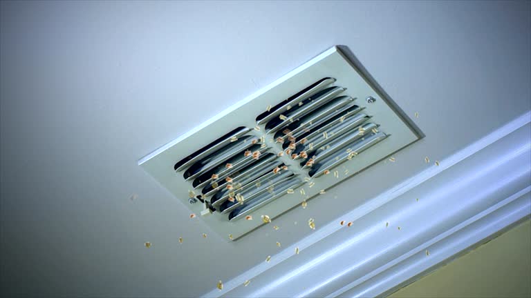 Best HVAC System Cleaning  in Soperton, GA